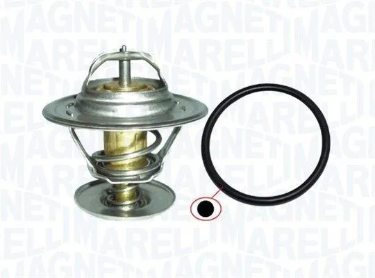 TERMOSTATO per CITROEN PEUGEOT D.55mm