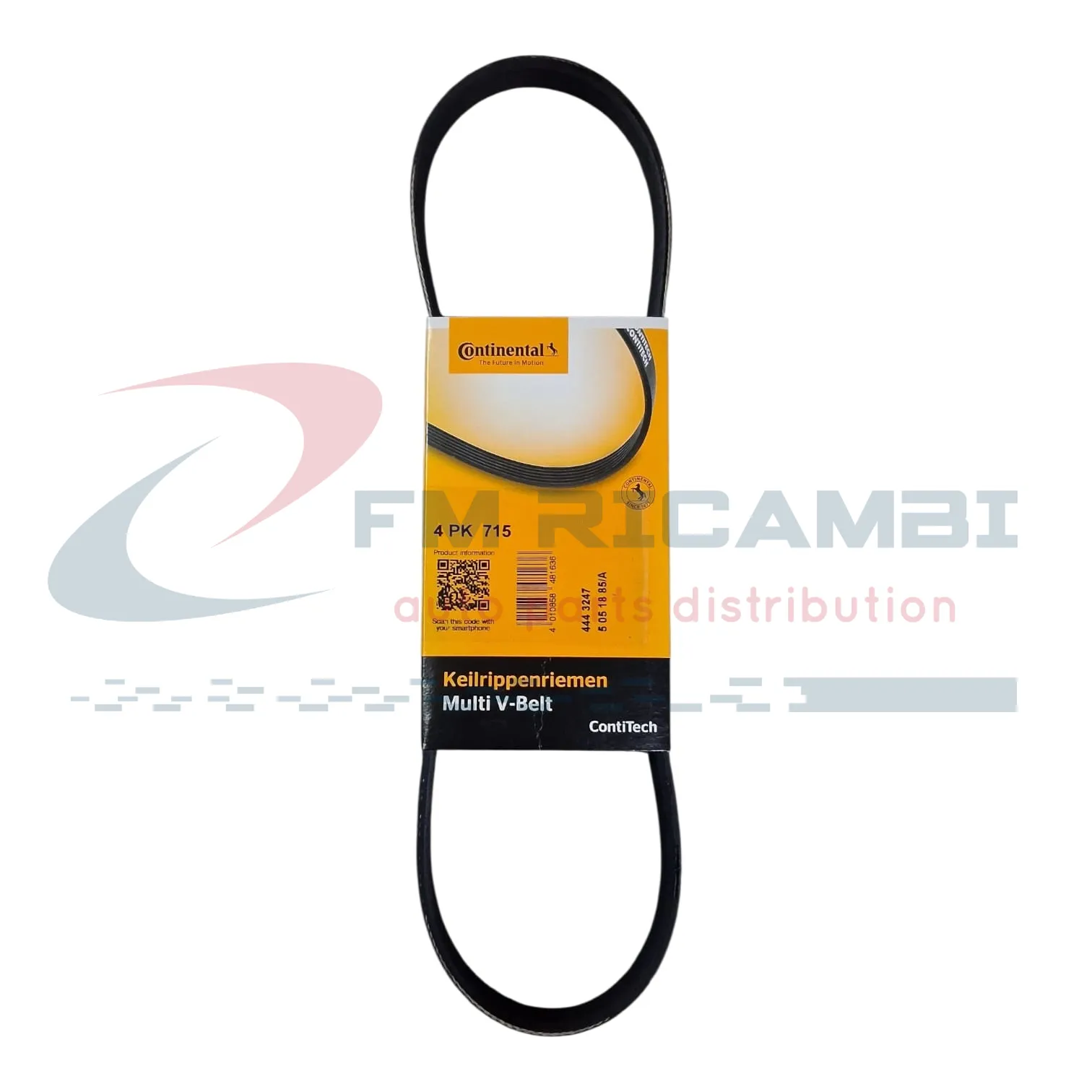 CINGHIA SERVIZI POLY-V per FIAT LANCIA