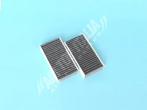 FILTRO ABITACOLO AI CARBONI ATTIVI per BMW X3 (F25) X4 (F26)
