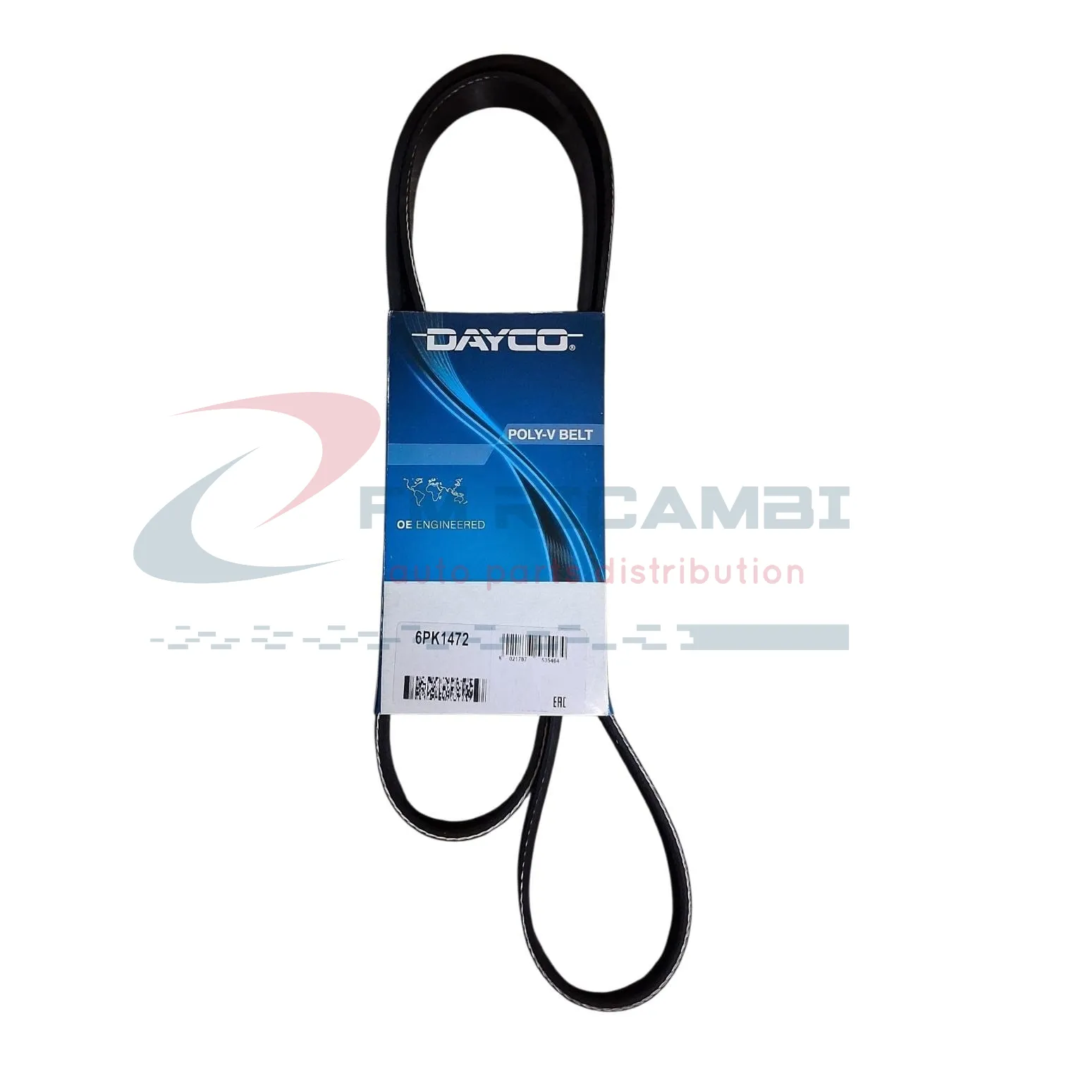CINGHIA SERVIZI POLY-V
