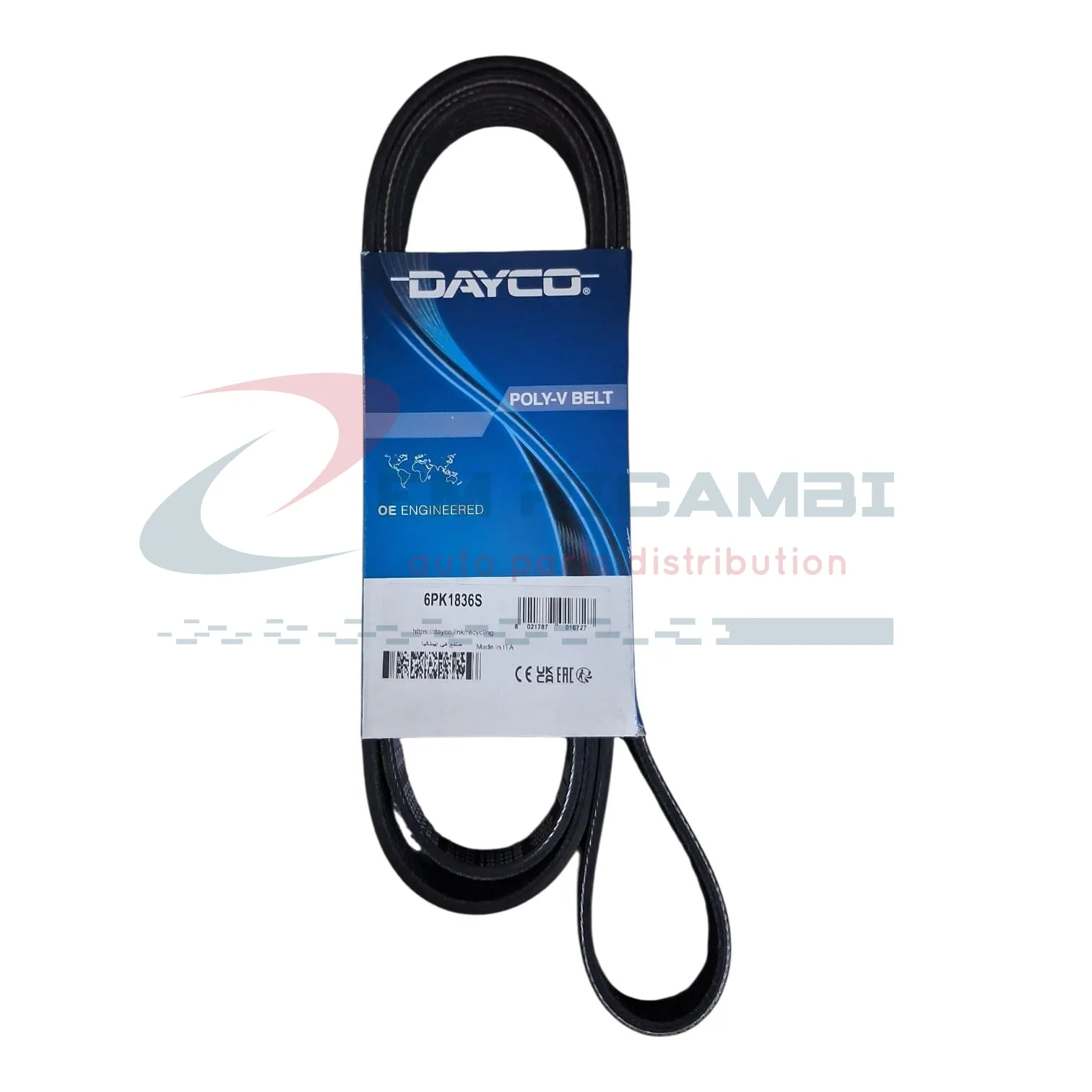 CINGHIA SERVIZI POLY-V