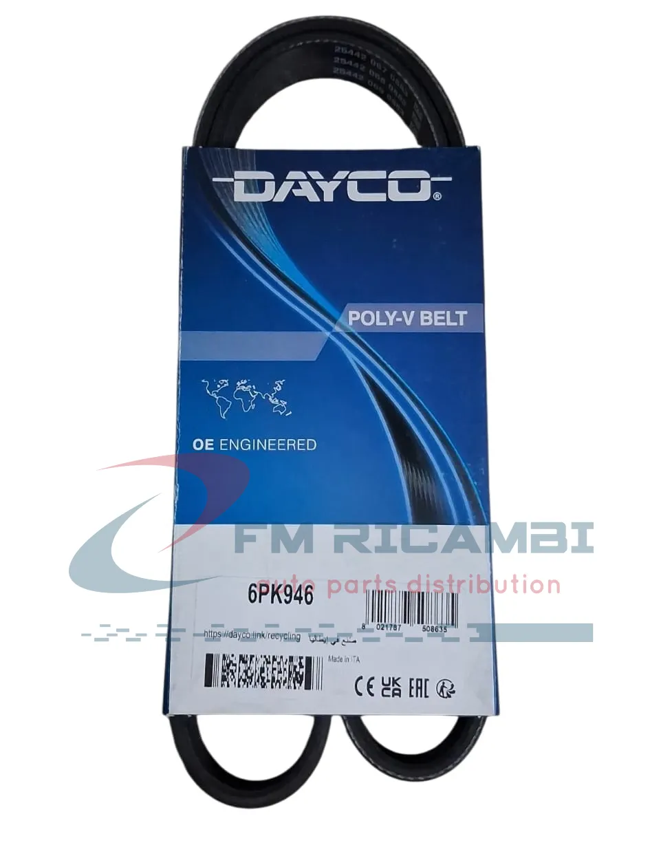 CINGHIA SERVIZI POLY-V