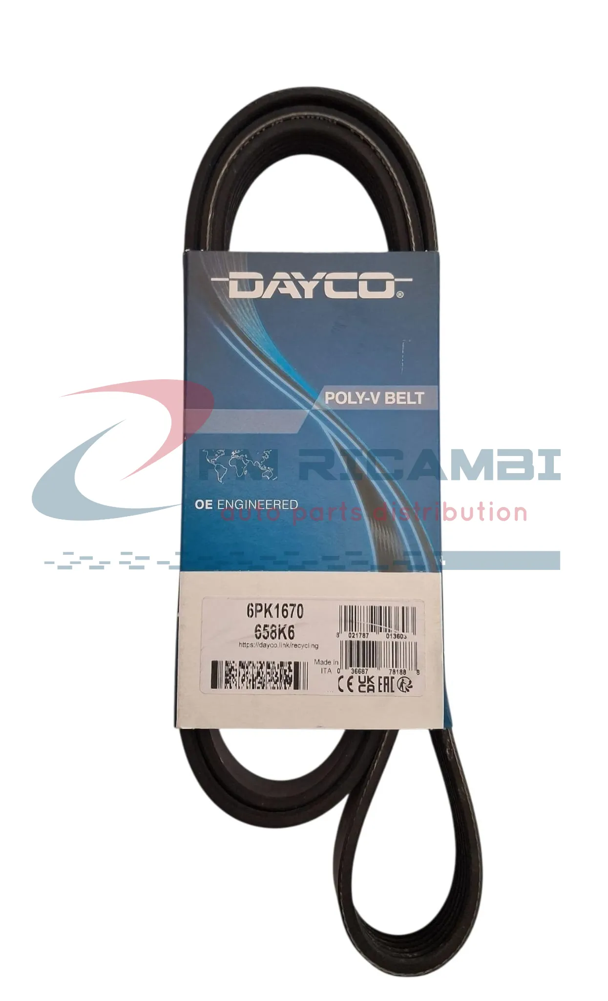 CINGHIA POLY-V SERVIZI