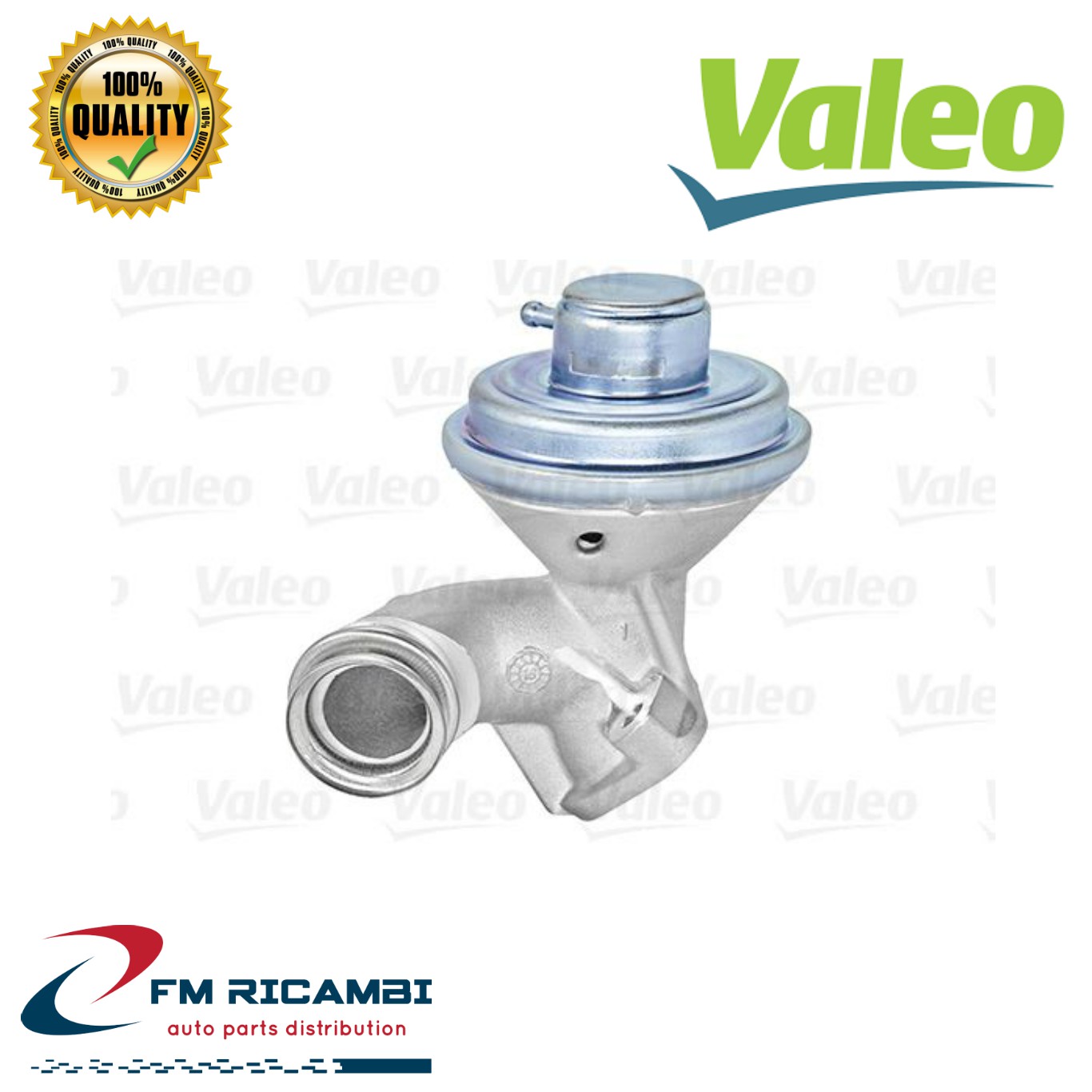 VALVOLA EGR CITROEN C3 (20022005)/FORD FIESTA/PEU206-307