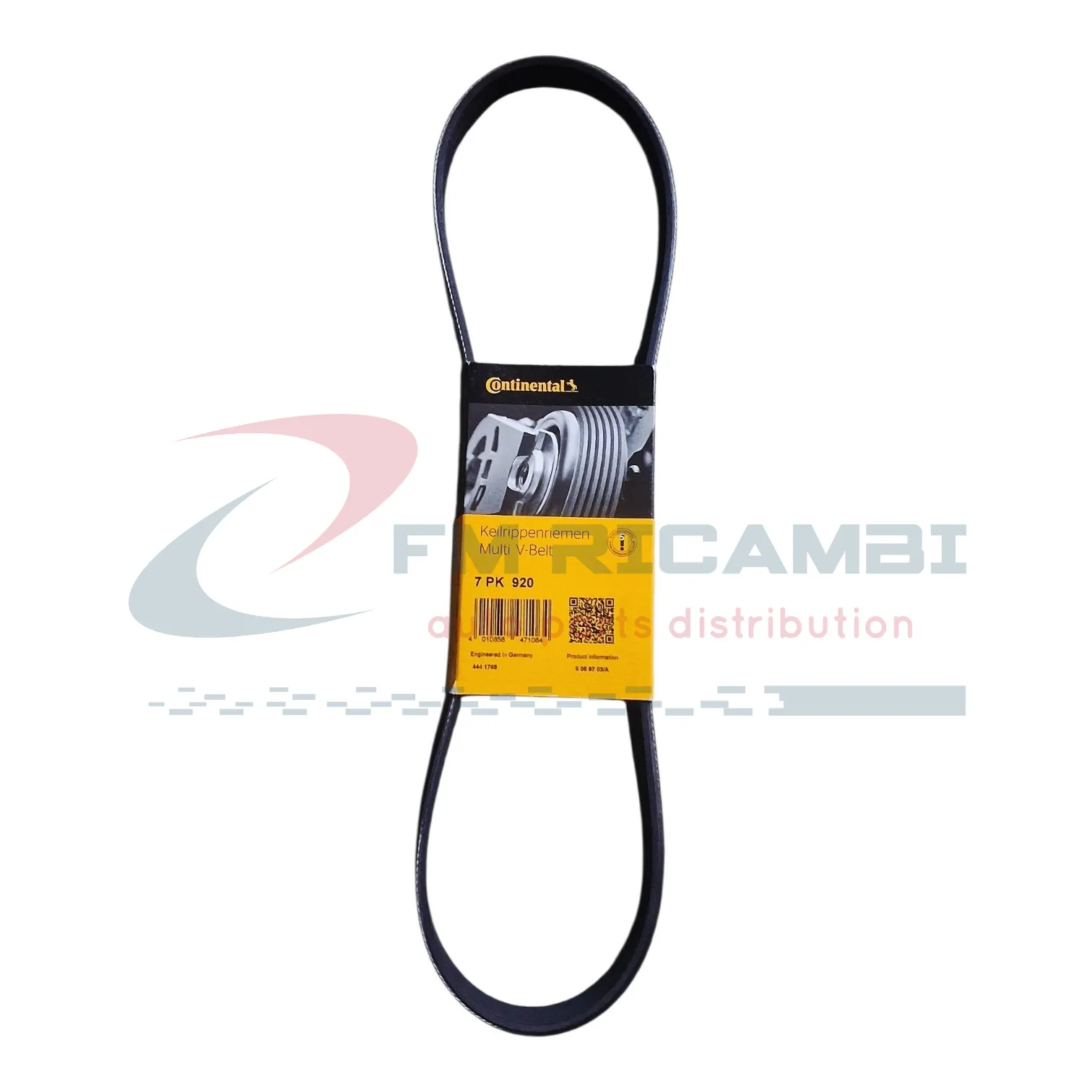 CINGHIA SERVIZI POLY-V