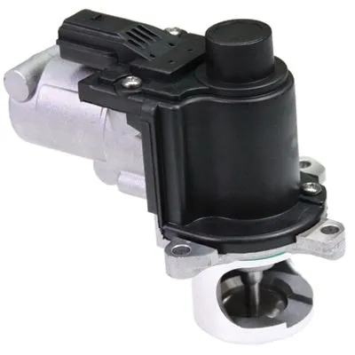 VALVOLA EGR per AUDI e VW 2.7TDi 3.0TDi