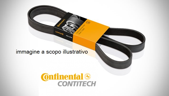 CONTITECH PULEGGIA CINGHIA