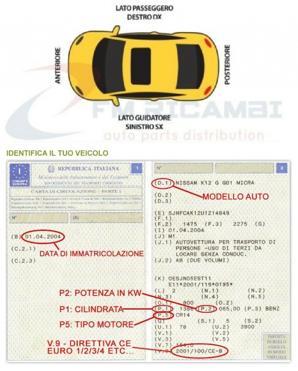 SUPPORTO PINZA