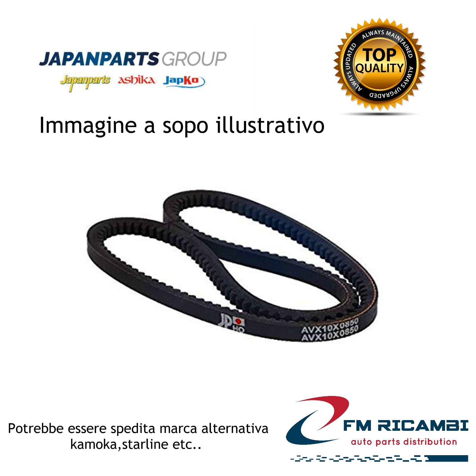 Cinghia Servizi JAPANPARTS DT-10X660LA: Compatibile Con Chevrolet E Mazda