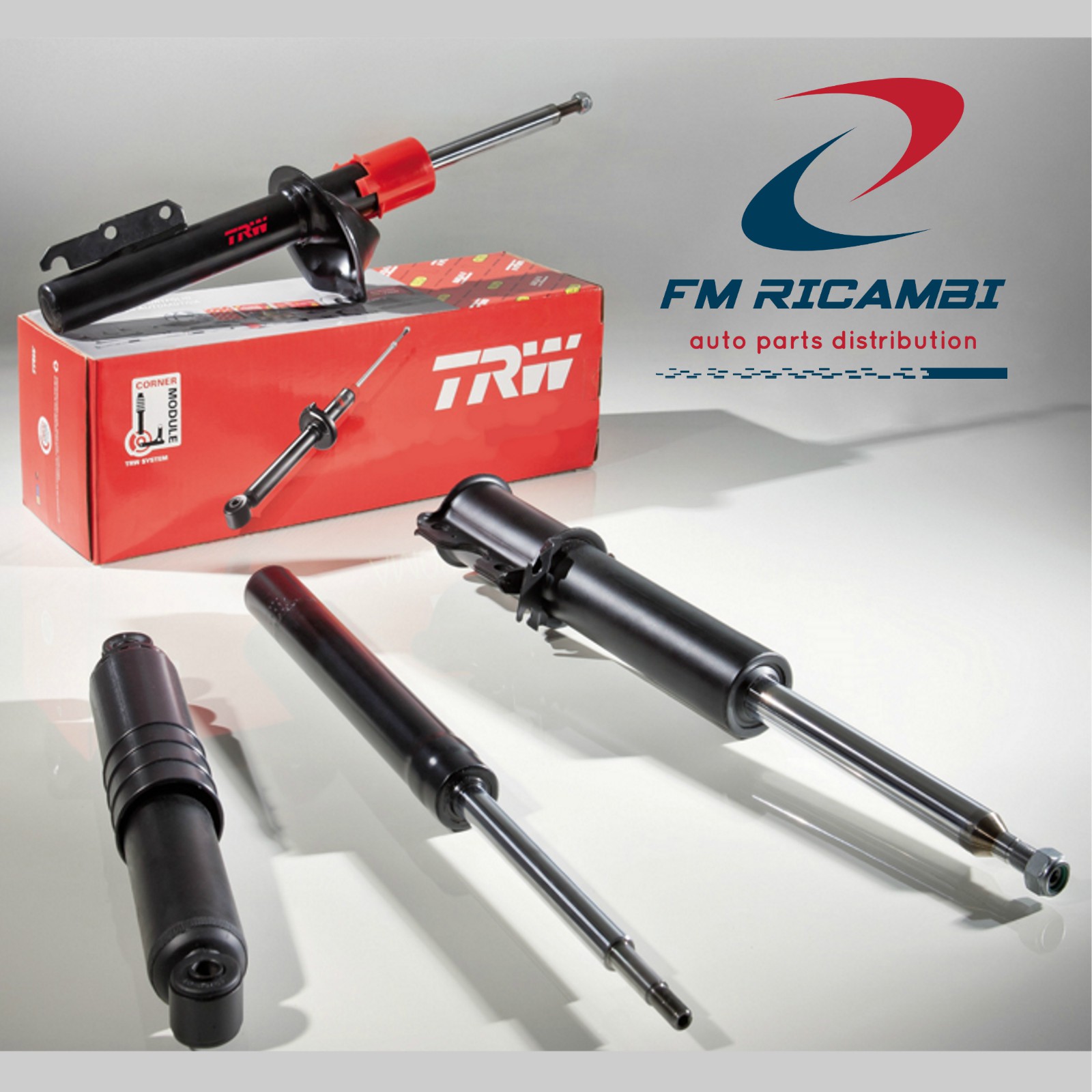 KIT 2 AMMORTIZZATORI POSTERIORI RENAULT MEGANE 09