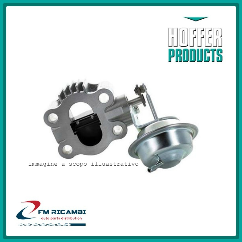 DIAFRAMMA GAS SCARICO